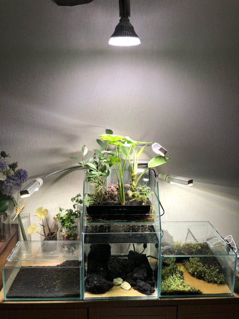 アクアポニックス水槽に観葉植物育成用LED照明を追加設置