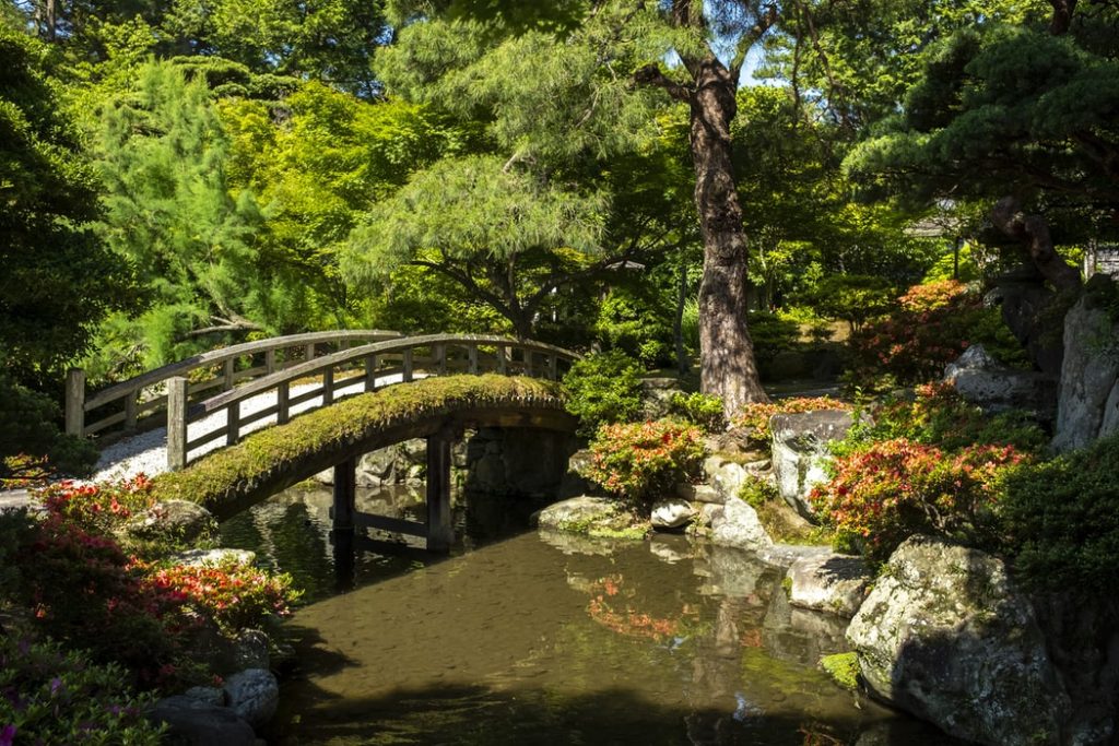 ひょうたん型のプラ池を庭に埋め込む│Nature at Home