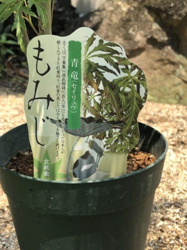 害虫から植木を守れ オルトラン粒剤の効果を検証 Nature At Home