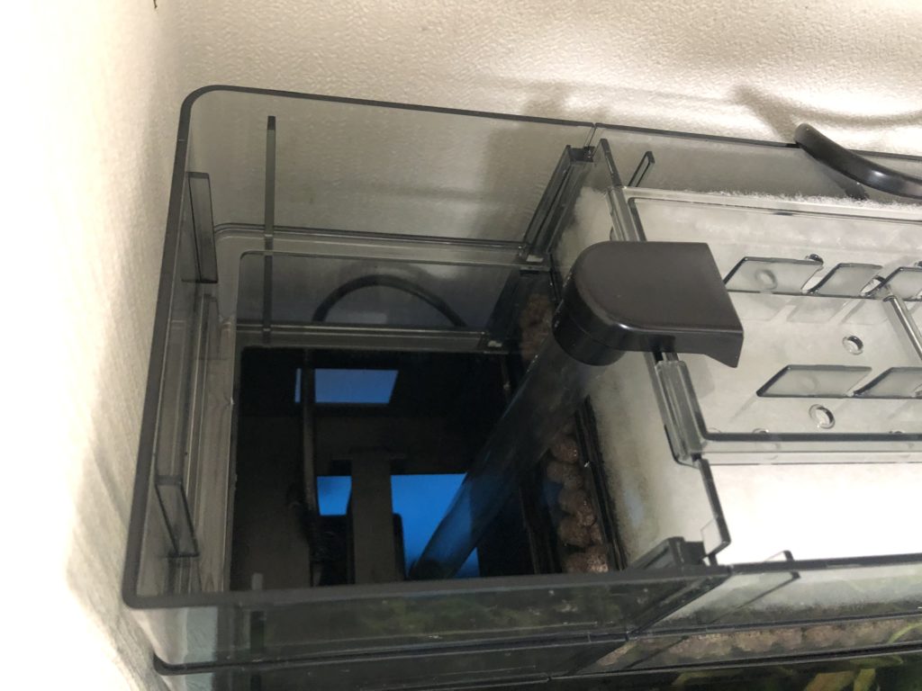 上部フィルターパワーアップ Gex デュアルクリーン と グランデ の違い ドライろ過槽の追加方法を紹介 Nature At Home