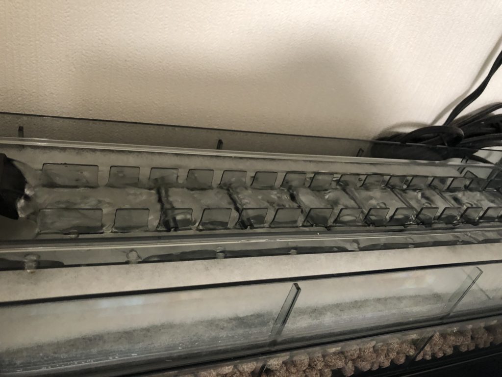 上部フィルターパワーアップ Gex デュアルクリーン と グランデ の違い ドライろ過槽の追加方法を紹介 Nature At Home